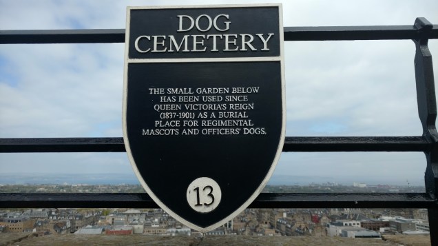 Dog Cemetery Description
